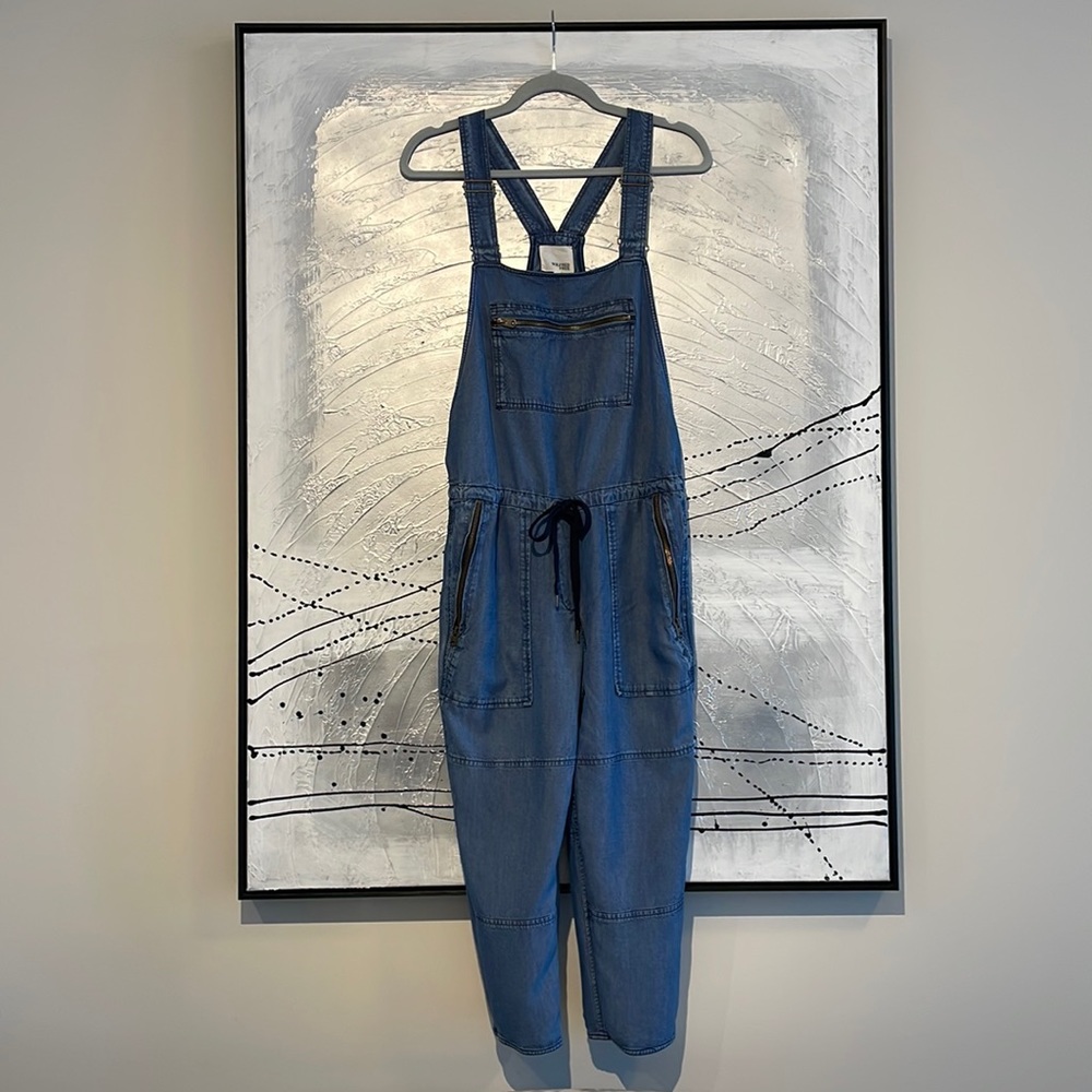 Aritzia Classic Blue Women's Overalls